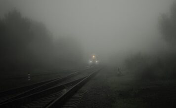Ile czasu podawać CO2 w akwarium?