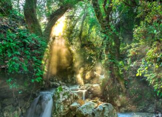 Czy rok 2023 będzie deszczowy?