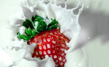 Z czego jest zrobione mleko roślinne?