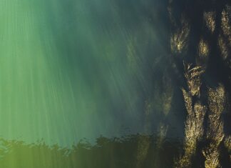 Kiedy poziom cukru jest najniższy?