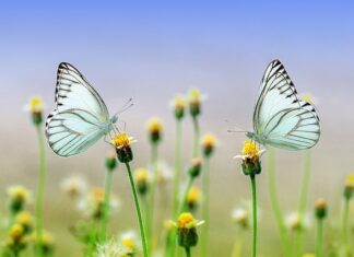 Co będzie modne wiosna-lato 2023?