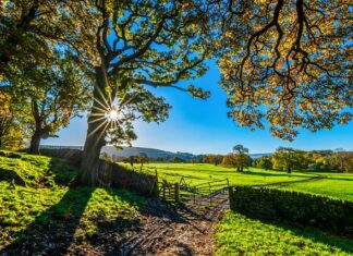 Ile kosztuje jeden tor do kręgli?