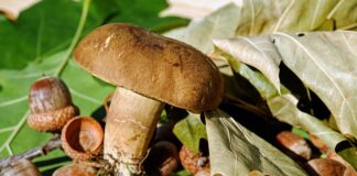 Czym smarować zaczerwienione wargi sromowe u niemowlaka?